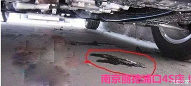 汽车漏油后期损失多少